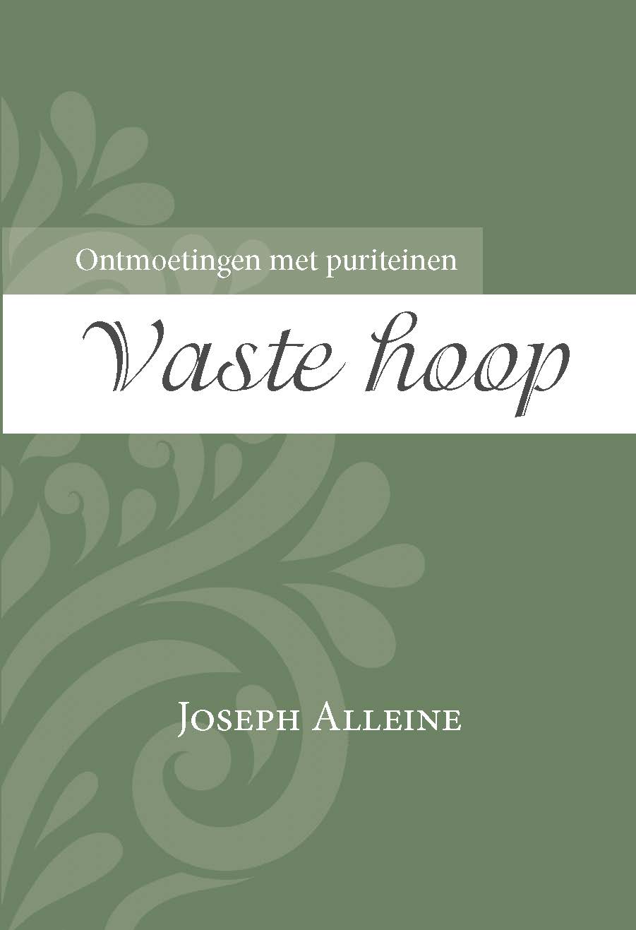 Vaste hoop